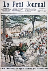 Tropper prøver å begrense en skogbrann, Algerie, 1904