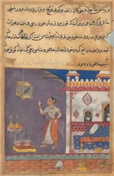 Tuti-Nama Tales of a Parrot: Tale XXIX, Løve kastet ut av hulen sin av en Lynx liten #XIV, ca. 1560.