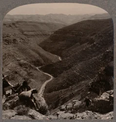 Arnodalen, gjeter og sauer i forgrunnen, ca 1900