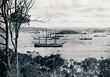 Utsikt over Sydney Harbour fra North Shore, nr. 1, c1900.