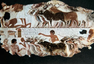 Veggmaleri fra graven til Nebarunun, Theben, Egypt, c1350 f.Kr