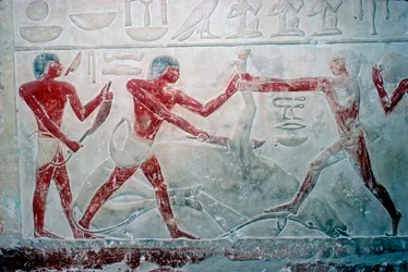 Veggmaleri av 3 slaktere som skjærer opp en skrott, Tomb of Idut, 5th Dynasty, c2350 BC