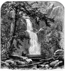 Foss i Yosemite Valley, California, USA, c1875