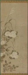 Hvite krysantemum og gress, Edo-perioden, 1615-1868.