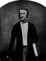 William Ewart Gladstone , britisk liberal statsmann, 1800-tallet 1956
