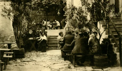 Vingård i Grinzing, Wien, Østerrike, c1935.