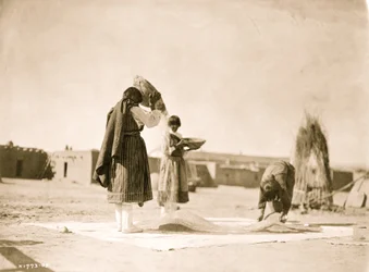 Å vinne hvete--San Juan 1905 (bilde)