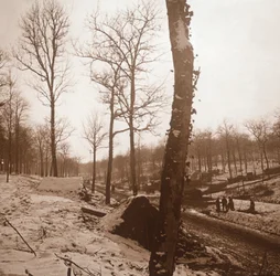 Winter, Genicourt, Nord-Frankrike, c1914-c1918