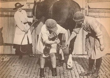Kvinner som hovslagere på hestesykehuset til et stort firma med transportkontaktorer, c1916, 1935