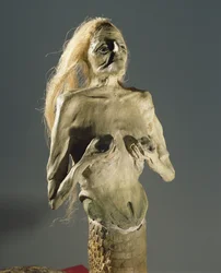 Vesen halvt kvinne, halvt slange, avkom av Melusine, 1900