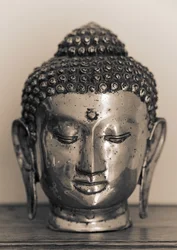 Buddhas hode