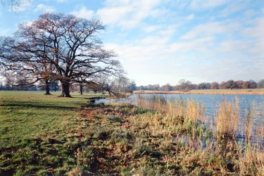 Utsikt over innsjøen, Corsham Court, Wiltshire
