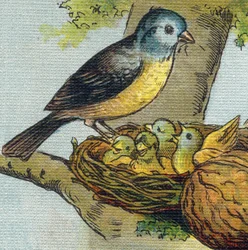 En fugl mater ungene sine i et reir. Gravering i "Alphabet de ma petite fille". Bernardin-Bechet og Fils, bokhandler-forlag, Paris, rundt 1895. Ubrytelig album på lerret. Bibliotheque des babes. 12 sider. Album som inneholder en lesemetode og en 