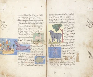 En side fra det persiske manuskriptet "Aja" ib al-Makhluqat wa Ghara "ib al-Maujudat