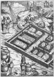 En saltmyr på 1500-tallet (gravering)