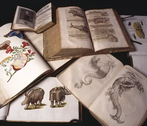 Gamle zoologibøker