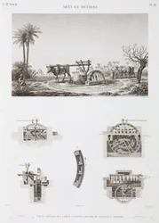 Animal Power Dyredrevet vanning, Egypt, ca 1798