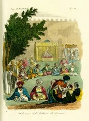 Publikum med sultanen av Bornu