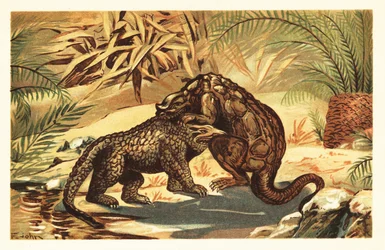 Kamp mellom en Megalosaurus bucklandii og Iguanodon bernissar1908 (litografi)
