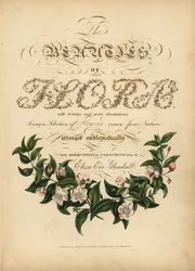 Kalligrafisk tittelblad med botanisk vignett