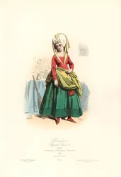 Kammerpike, Karl VIIs regjeringstid