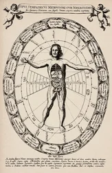 Korrespondanse mellom mikrokosmos og makrokosmos. Plate hentet fra «Mundus subterraneus» av Athanase Kircher (1601–1680).