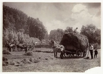 Oppdrettsscener, høsting og lagring, slått før 1900, ca 1890