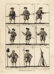 Hellebard militærøvelser