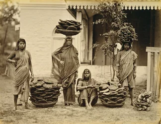 Indiske bondekvinner med kurver med møkkkaker (brukt til drivstoff) og tenningsved (brukt til matlaging) (sepia-bilde)