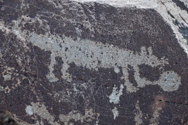 Indianske helleristninger som forestiller dyr - Petroglyph National Monument - Albuquerque, New Mexico, USA (USA)