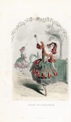 Granatepleblomsterfeen danser - Etsning av Charles Geoffroy (1819-1882), basert på en illustrasjon av Jean Ignace Isidore Gerard dit JJJGranville (1803-1847), for Les fleurs animées