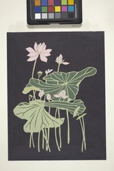 Lotus (flerfarget kuttet papir)