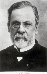 Louis Pasteur, fransk kjemiker og mikrobiolog, ca. 1885