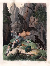 Mathias Sturz kjemper mot en skjegggribb med kniv. Håndkolorert litografi fra Carl Hoffmanns Book of the World, Stuttgart