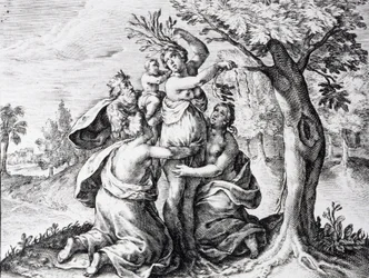 Mattei i Ovids metamorfoser