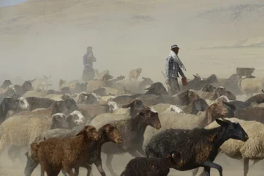 Nomadetelt mellom Tamar og Ashkhaneh, Iran 2022 (fotografi)