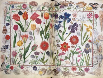 Sider fra albumet Amicorum av Philipp Hainhofer, 1596-1633