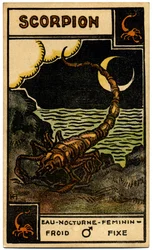 Paranormalt. Astrologi. Skorpionen (Skorpionen). Astrologisk kort fra: Le Tarot Astrologique (Astrologisk Tarot), av Georges Muchery, Frankrike