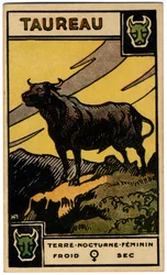 Paranormalt. Astrologi. Tyren (oksen). Astrologisk kort fra: Le Tarot Astrologique (Astrologisk Tarot), av Georges Muchery, Frankrike