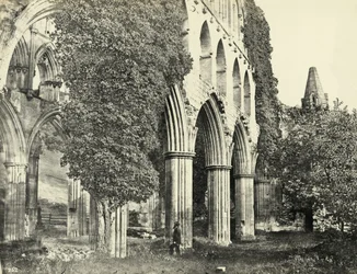 Rievaulx Abbey, North Yorkshire, Storbritannia