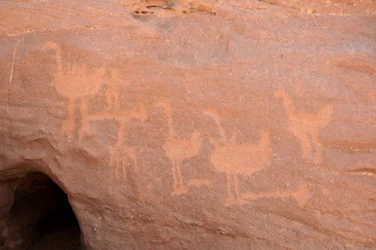 Bergkunst, Prehistoire: Gravering av en gruppe strutser, hvorav noen er blokkert (fanget med en hinderstein) og to karakterer i Uweinat-massivet, Sudan. Periode fra 8000 til 3000 år f.Kr. Fotografering