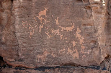 Bergkunst, forhistorie: Gravering av en gruppe storfe, strutser og karakterer i Uweinat-massivet, Sudan (Karkur-Talh eller Karkur Talh). Periode fra 8000 til 3000 år f.Kr. Fotografering