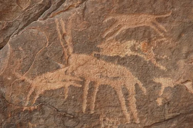 Bergkunst, forhistorie: Gravering av en antilope angrepet av en flokk hunder i Uweinat-massivet, Egypt (perioden fra 8000 til 3000 år f.Kr.). Fotografering