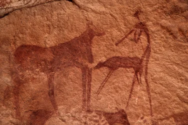 Bergkunst, forhistorisk: Steinmaleri av en ku, kalv og karakter (bueskytter) i et utsmykket ly, i Uweinat-massivet, Egypt. (Periode fra 8000 til 3000 år f.Kr.). Fotografering