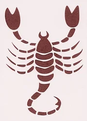 Stjernetegn: Skorpionen (Astrologisk tegn: Skorpionen) Privat samling