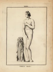 Statue av Venus Doree (gull), romersk gudinne for kjærlighet, skjønnhet, sex og fruktbarhet