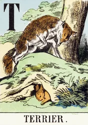 T : Terrier - The Hunting Alphabet, ca. 1890 (gravering)