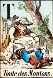 T Tonte des Moutons - "Alfabetet til gården" slutten av 1800-tallet (gravering)