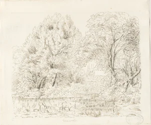 Tamworth - Rural View: blekktegning, og [1800-tallet]