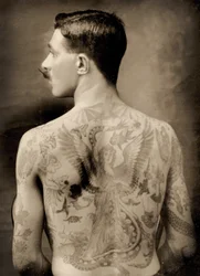 Tatovert britisk sjømann under den store krigen 1914-18, sett bakfra